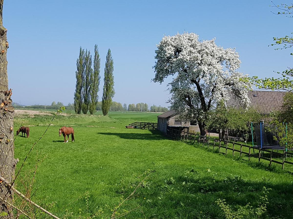 Het Voorhuis Boerderij Hoeve Vrede Best 维斯普 外观 照片