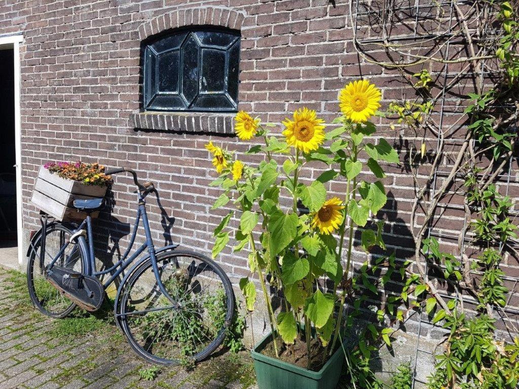 Het Voorhuis Boerderij Hoeve Vrede Best 维斯普 外观 照片